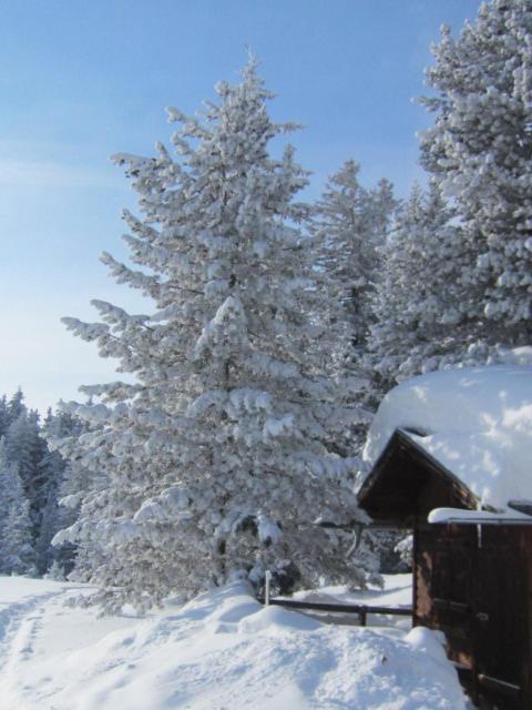 Wirtshaus zum Wiesejaggl Kaunerberg Exterior foto